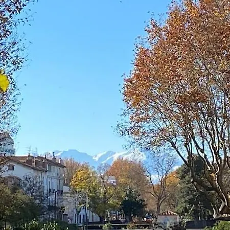 Au Pied Du Palais * Perpignan